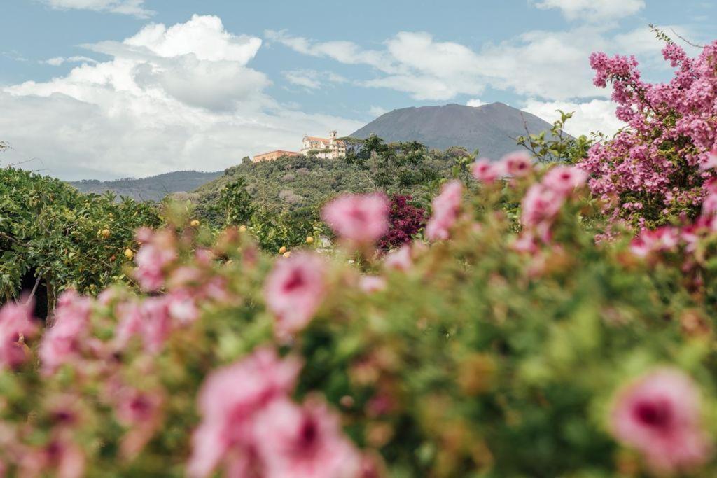 Villa Aura Torre del Greco Esterno foto